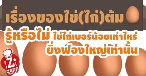 Zappnuar Story : เรื่องของไข่(ไก่)ต้ม
