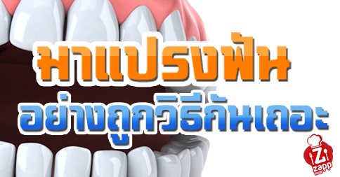 Zappnuar Story : มาแปรงฟันอย่างถูกวิธีกันเถอะ