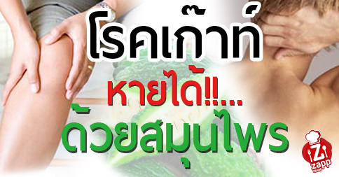 Zappnuar Story : โรคเก๊าท์หายได้!!…ด้วยสมุนไพร